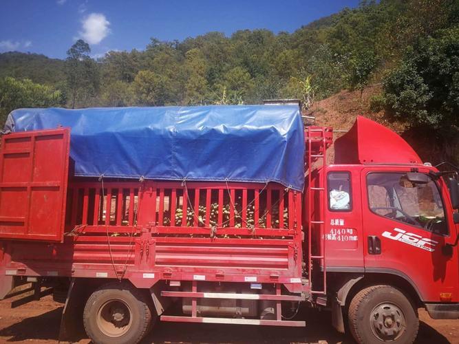 普洱市墨江林业局驻村工作队员积极帮助玉碧村销售滞销农副产品