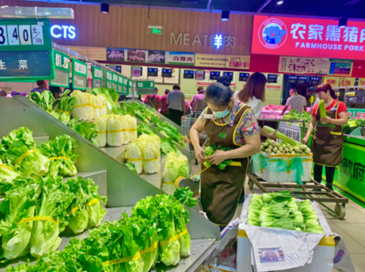 两天调运208吨蔬菜供应市场 儋州多措并举保障市民“菜篮子”